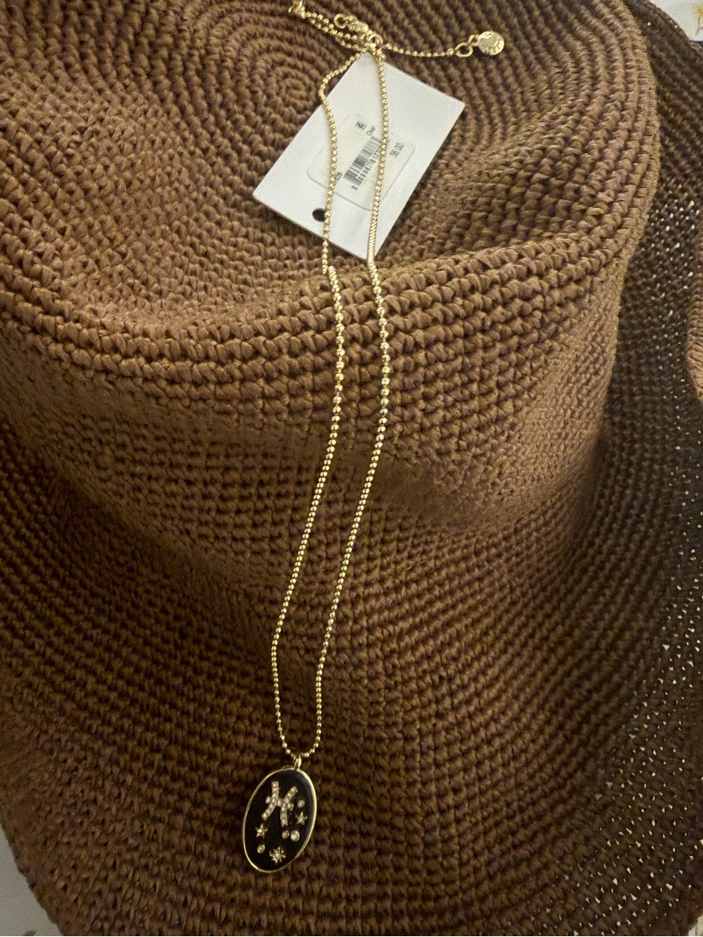 BaubleBar Black and Gold Astrological Necklace Pisces